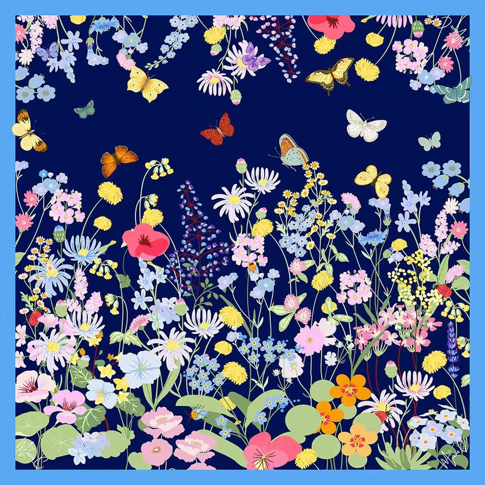 Foulard di seta Clair