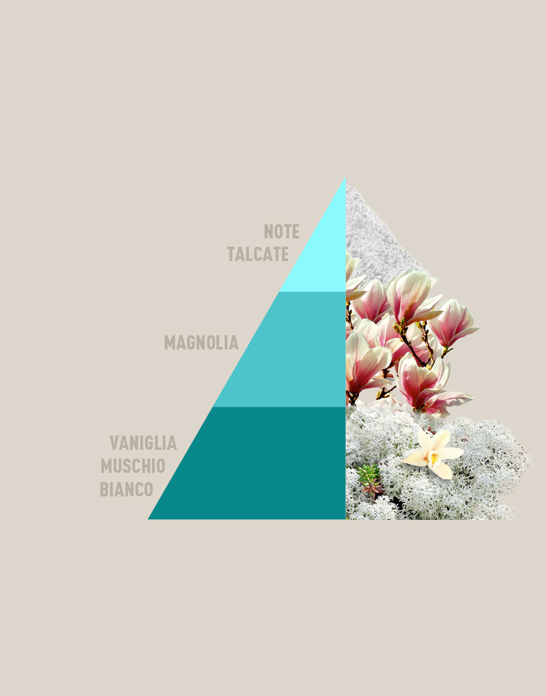 Profuma bucato Bianco Infinito