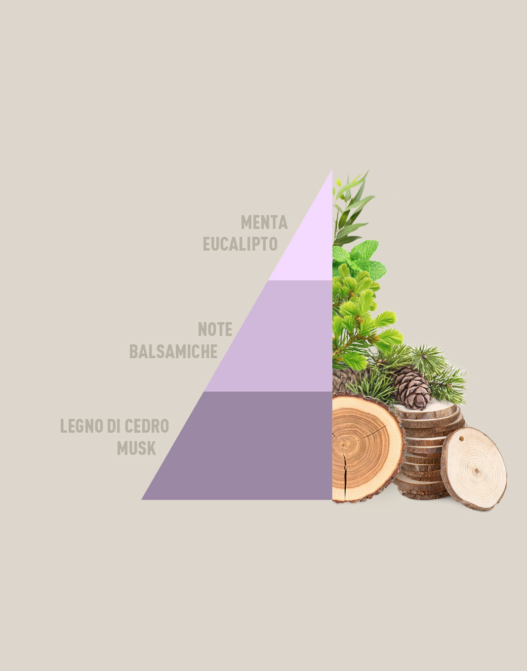 Profuma bucato Brezza di primavera