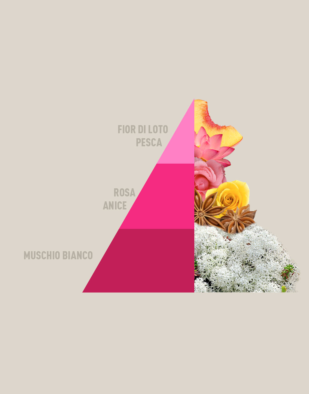 Profuma bucato Muschi e Loto