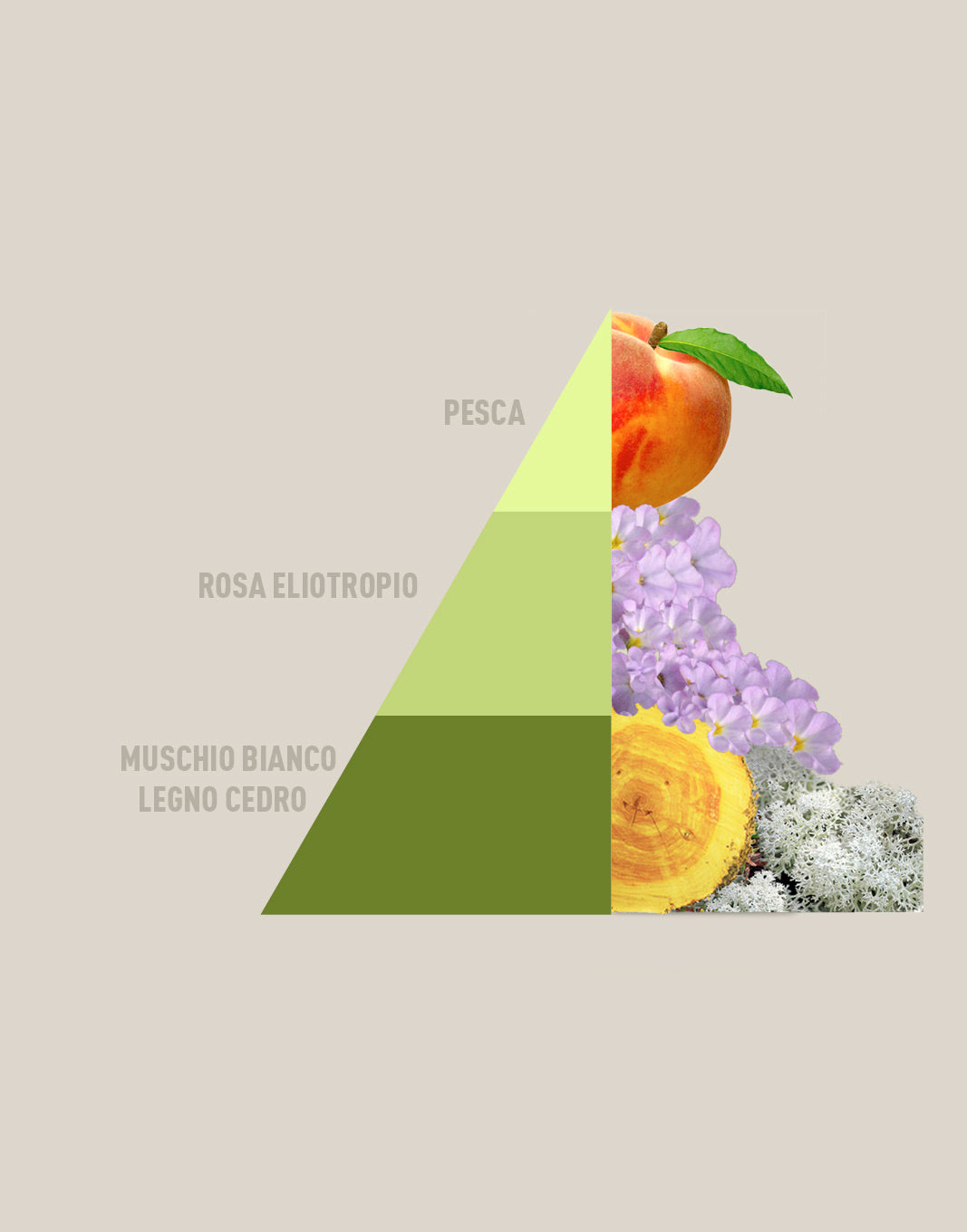 Profuma bucato Musica del sole