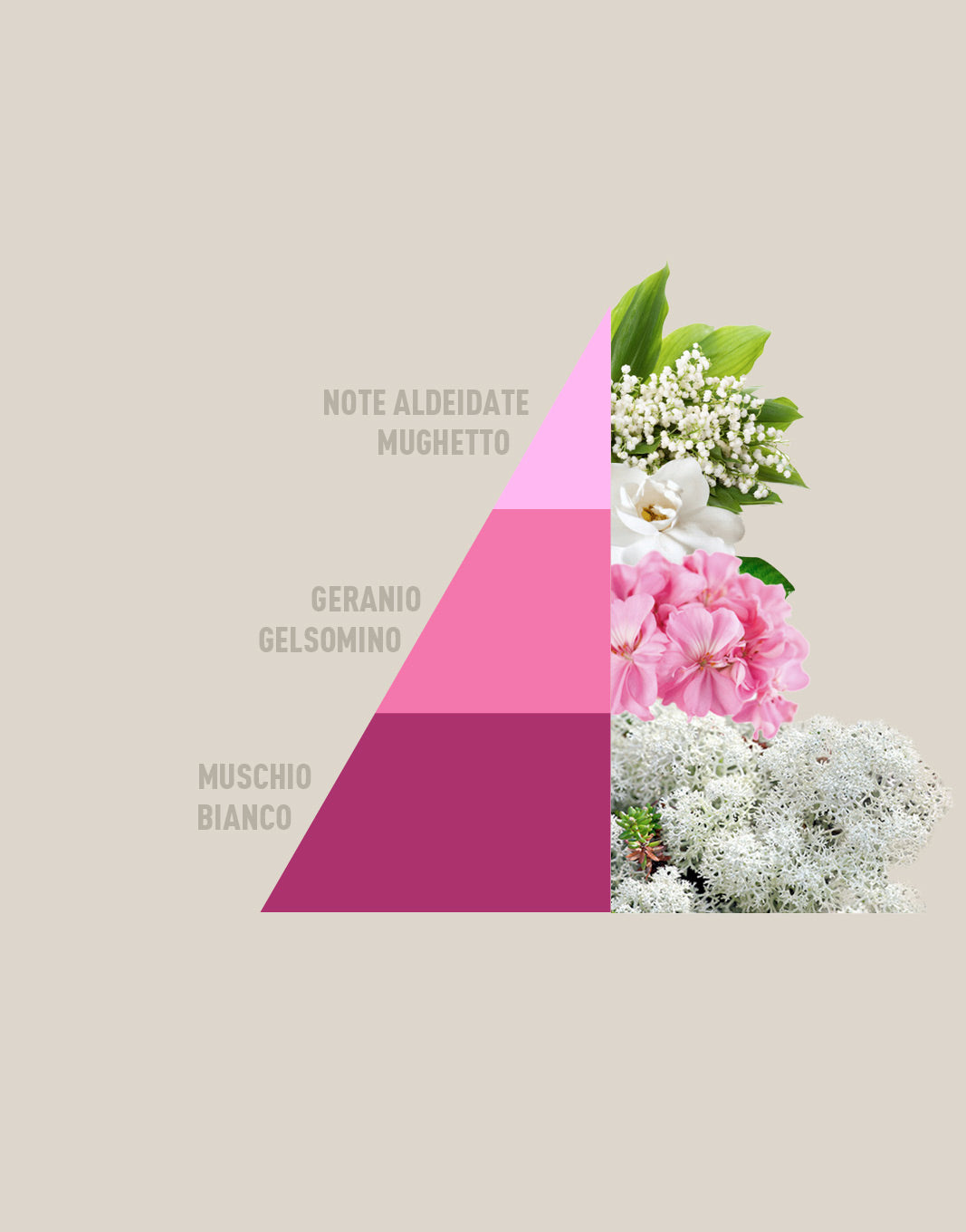 Profuma bucato Soffice talco