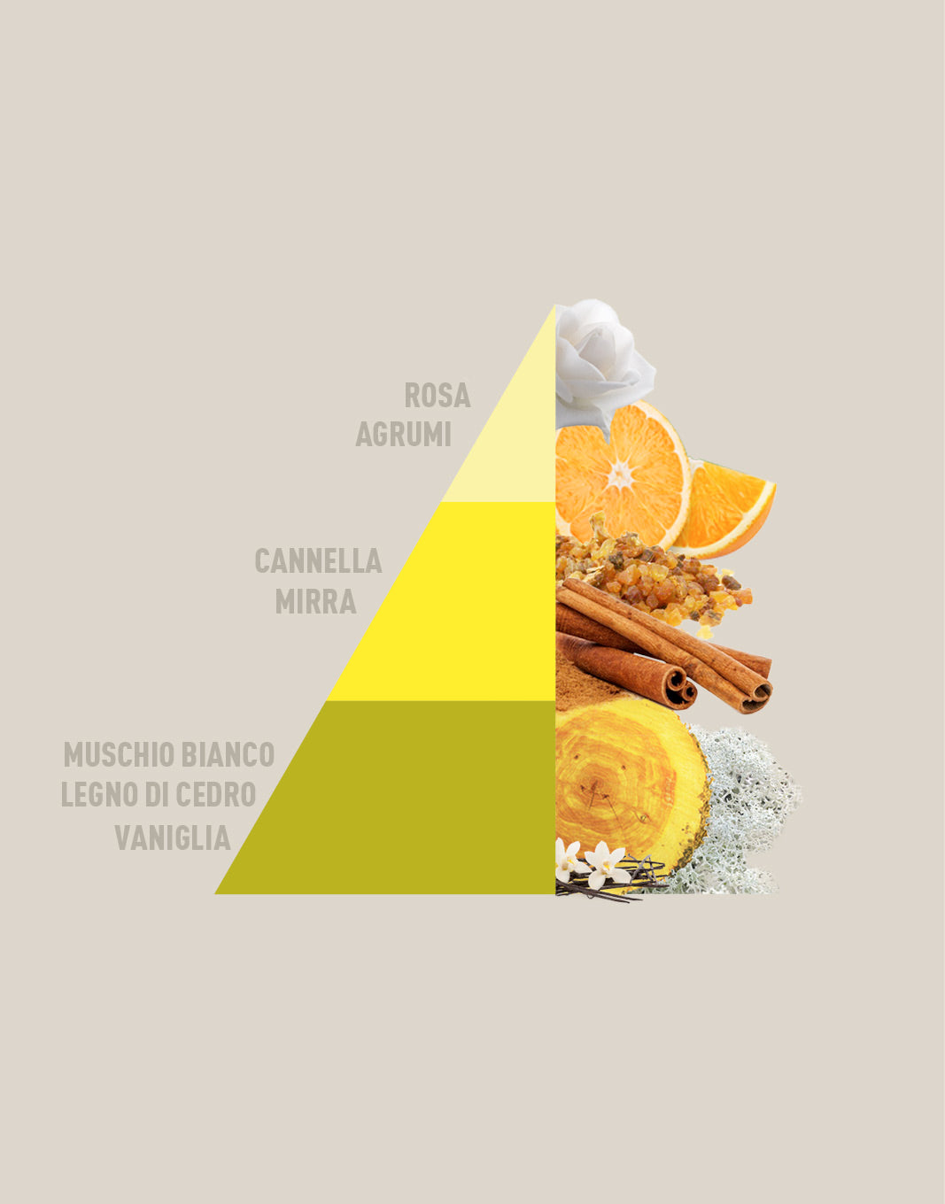 Profuma bucato Vaniglia e Mirra