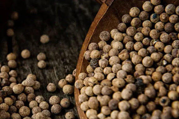 Diffusore Dr Vranjes Bamboo Milano