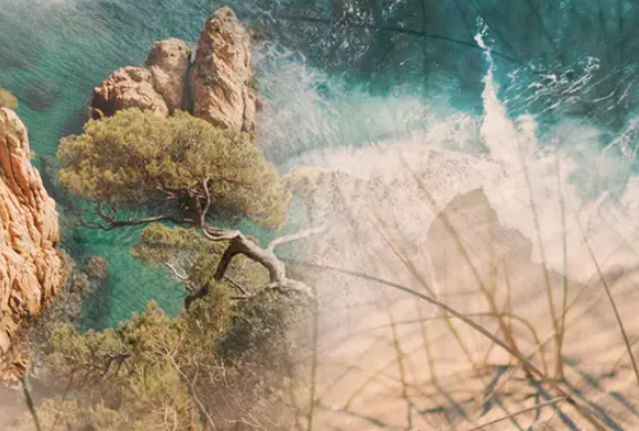 Diffusore Dr Vranjes Bamboo Acqua