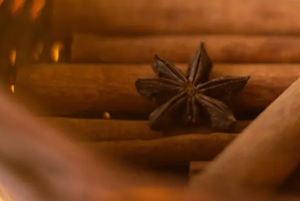 Diffusore Dr Vranjes Bamboo Arancio Cannella