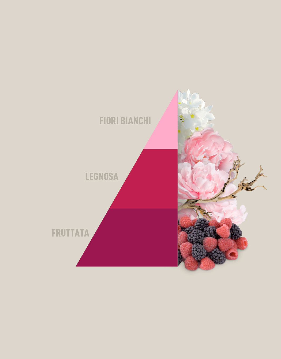 Profuma bucato Petali di Peonia