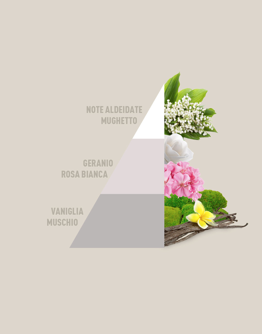 Profuma bucato White