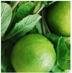 Diffusore Dr Vranjes Bamboo Ginger Lime