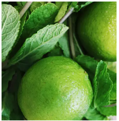 Diffusore Dr Vranjes Bamboo Ginger Lime