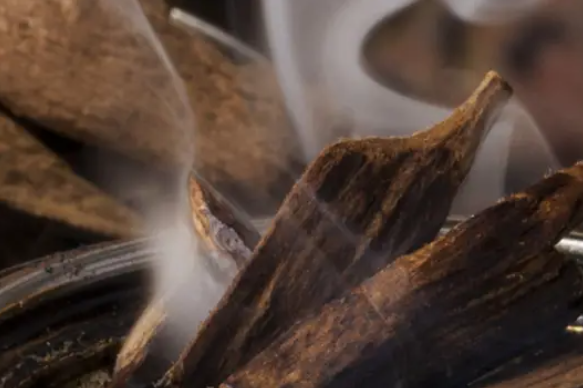 Diffusore Dr Vranjes Bamboo Oud Nobile