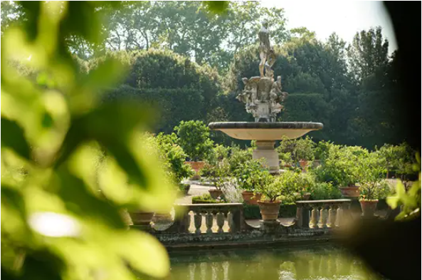 Diffusore Dr Vranjes Bamboo Giardino di Boboli