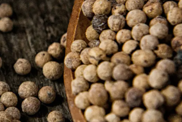 Diffusore Dr Vranjes Bamboo Chinotto Pepe