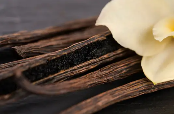 Diffusore Dr Vranjes Bamboo Ambra