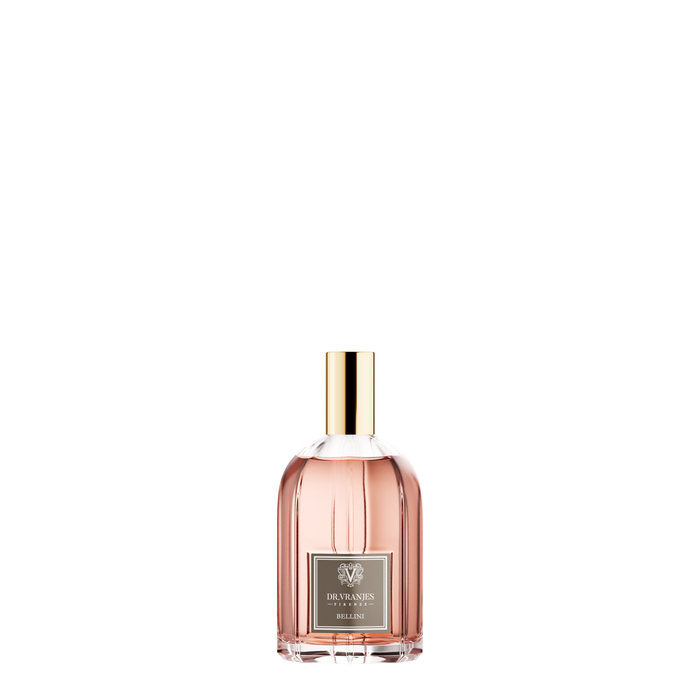 Spray per ambienti 100 ml