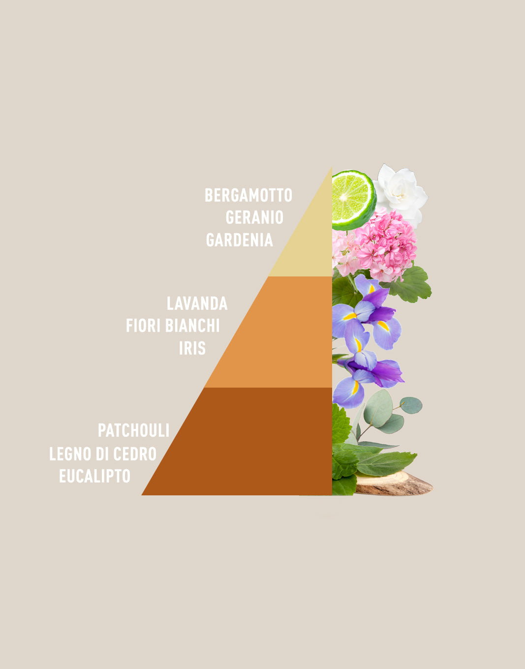 Profuma bucato Elixir