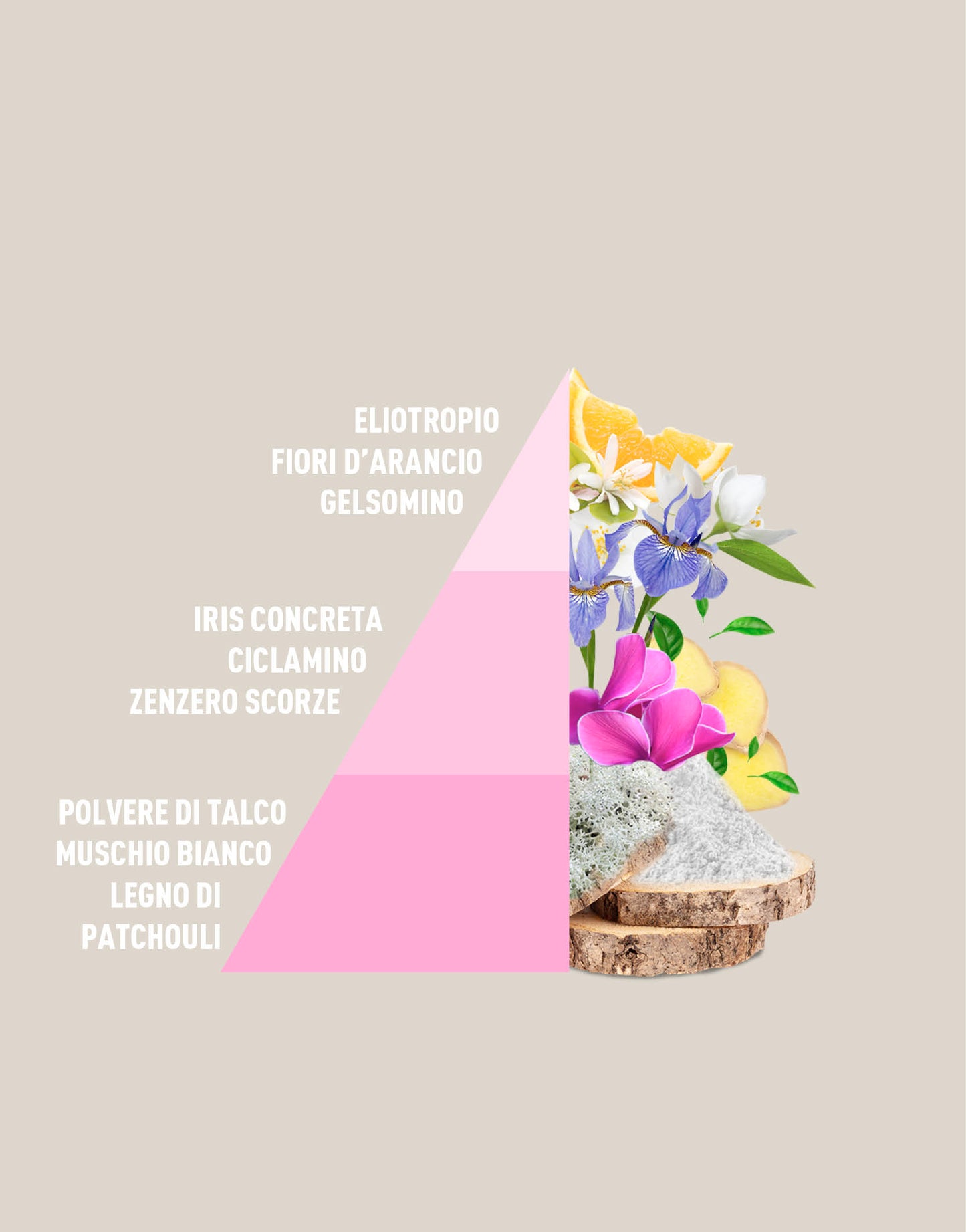 Profuma bucato Baby Talco